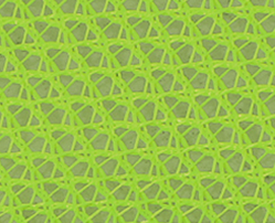 ����������S(ch��ng)��